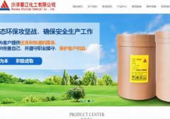 沙洋秦*化工有限公司建網(wǎng)站新一代自助建站、智能建站系統(tǒng)