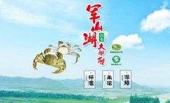 江西省進賢縣軍*湖魚蟹開發(fā)公司做網站有創(chuàng)意的主題設計