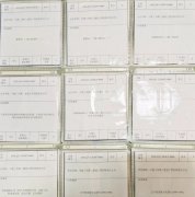 企業(yè)網(wǎng)站設(shè)計:個性化與整體性的完美融合