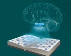 掌握網(wǎng)站SEO優(yōu)化更新，解鎖流量密碼