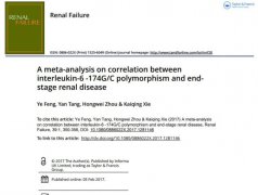 企業(yè)網(wǎng)站設(shè)計，圖片格式全揭秘